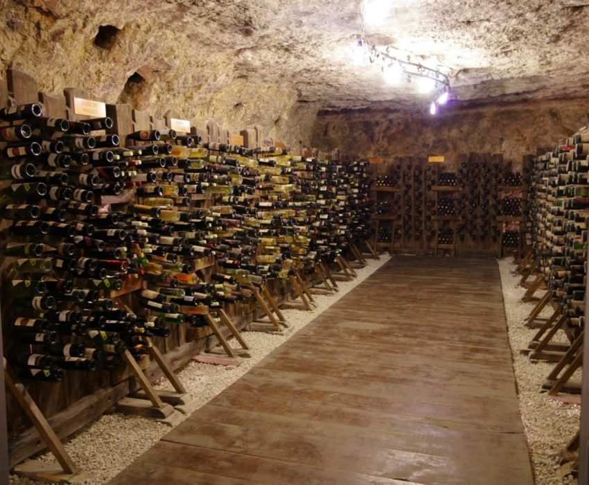 muz-vino1
